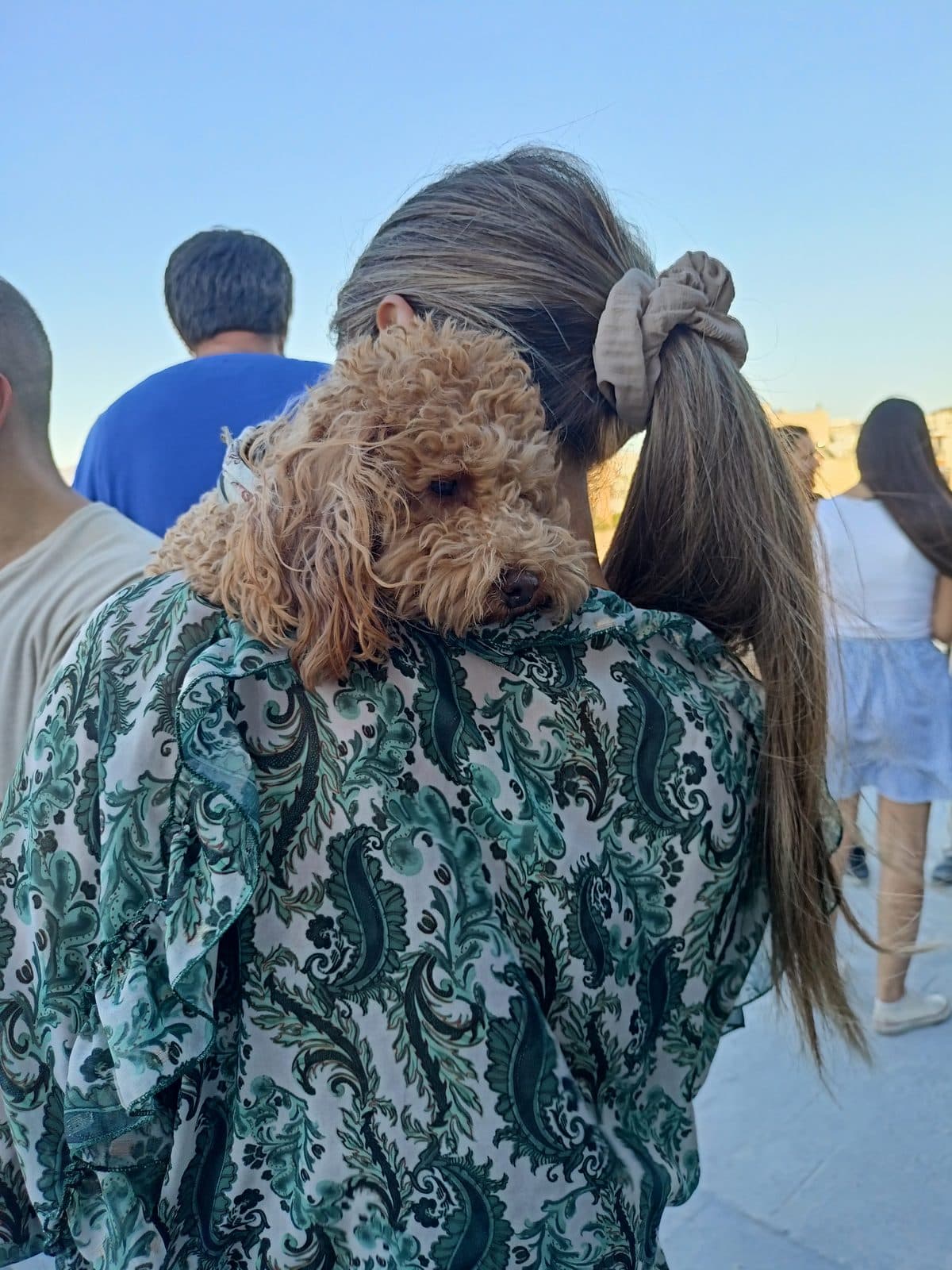 An ATCOM person outdoors at sunset with a fluffy dog resting on their shoulder