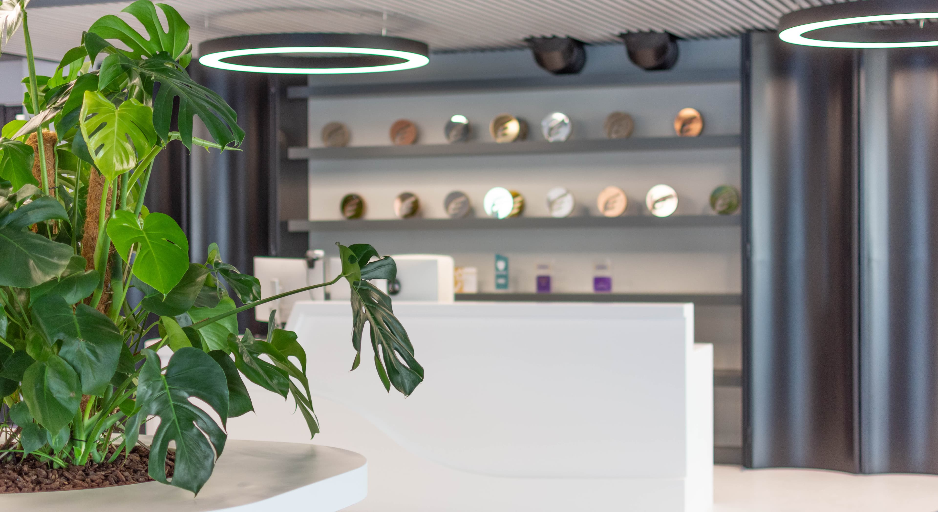 The ATCOM reception — a monstera, a shelf of product samples, and teal ring pendant lights