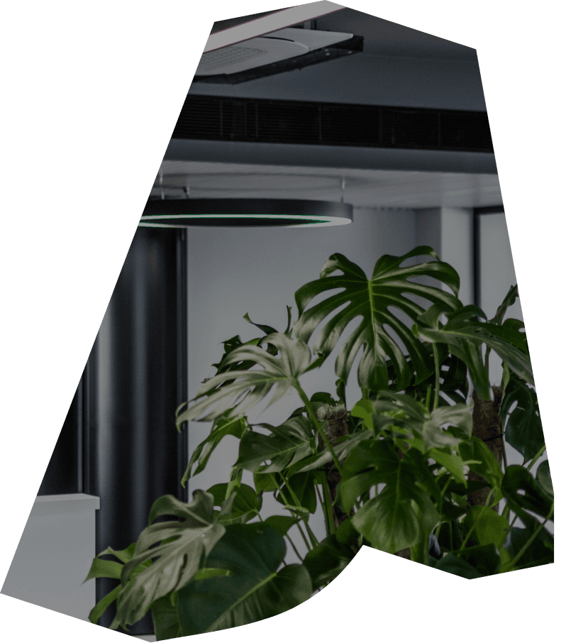 Greenery growing inside the ATCOM offices